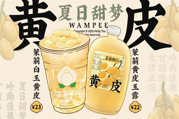 茉莉奶白店加盟费用大约需要多少钱?2025加盟费汇总及开店步骤